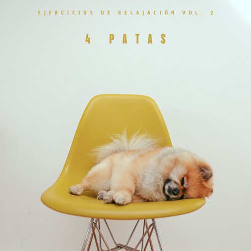 Música Para Perros Con Ansiedad cover art