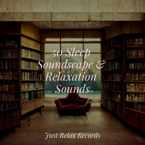 50 Sleep Soundscape & Relaxation Sounds_poster_image