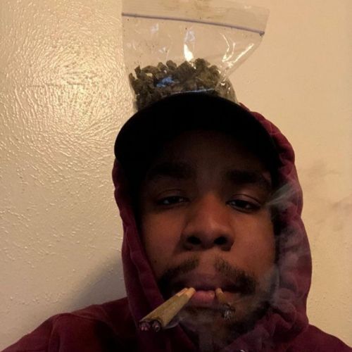 6600 cover art