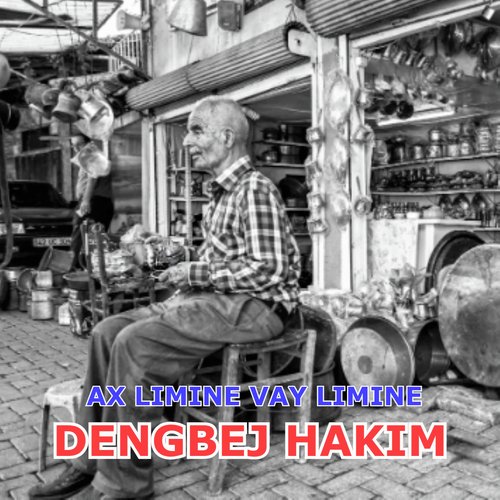 Malamıne Vah Diyar cover art