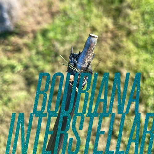 Lazarus Pernambucano in a Koolman Spaceshuttle 2 Bechamel Pluto cover art