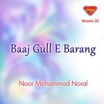 Yataani Baloore Taas Tha