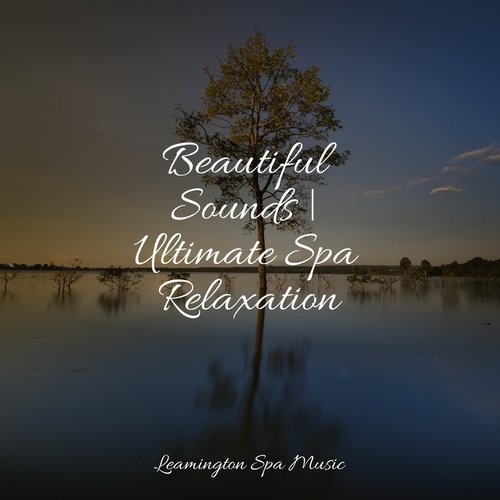 Beautiful Sounds | Ultimate Spa Relaxation