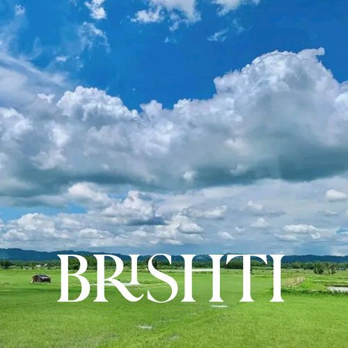 Brishti