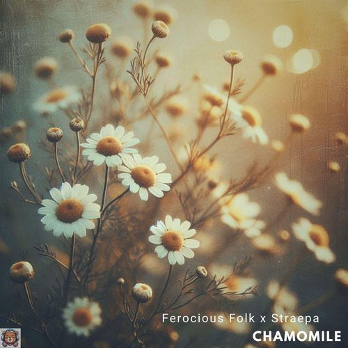 Chamomile