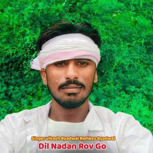 Dil Nadan Rov Go