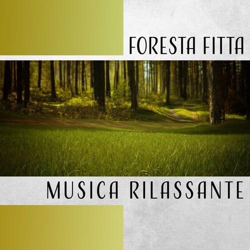 Musica per dormire cover art