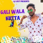 Gali Wala Kutta