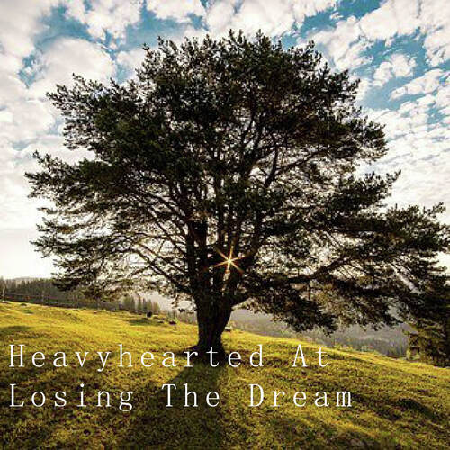 Heavyhearted At Losing The Dream