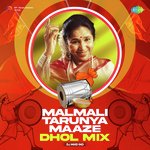 Malmali Tarunya Maaze - Dhol Mix