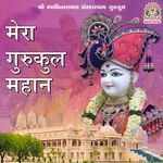Mera Gurukul Mahan artwork