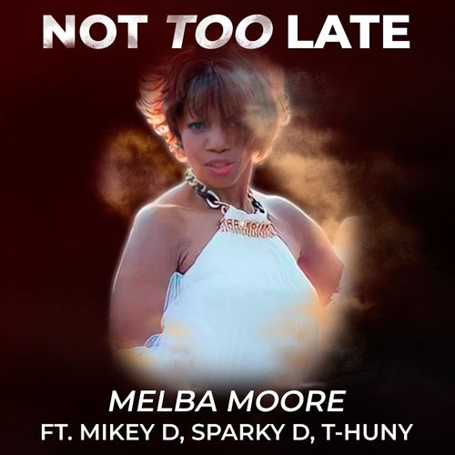 Not Too Late (Big Herb Remix)_poster_image