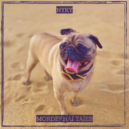 Nyky cover art