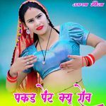 पकड पेंट क्यू रोव