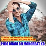 PLDO BHARI CH MOHOBBAT KO