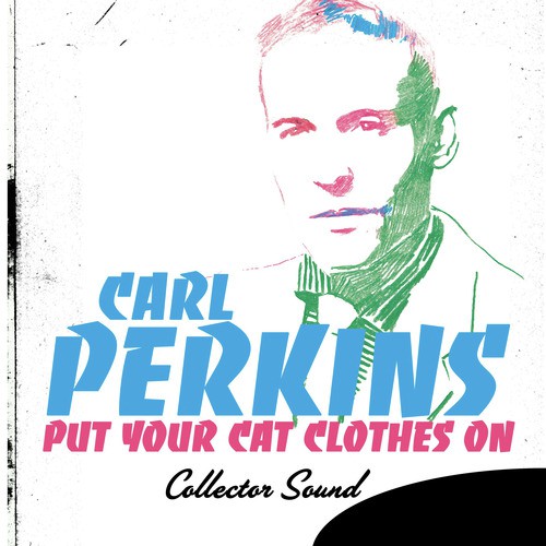 Put Your Cat Clothes
