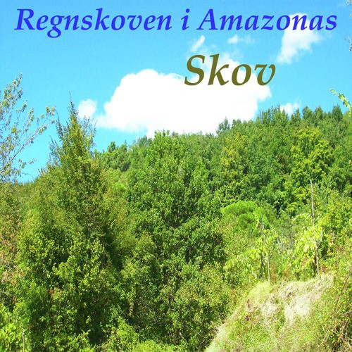 Regnskoven i Amazonas_poster_image