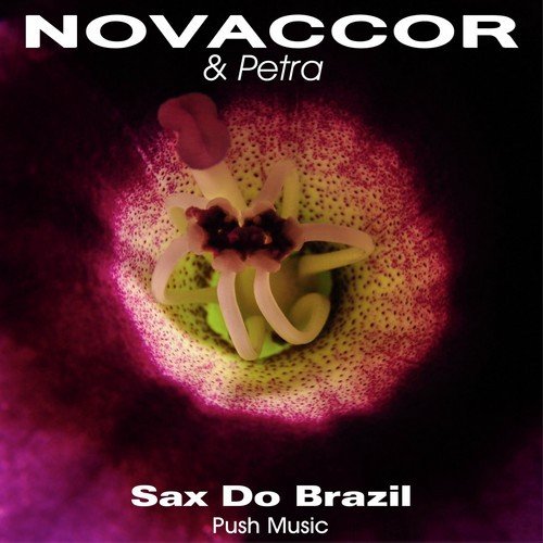 Sax Do Brazil