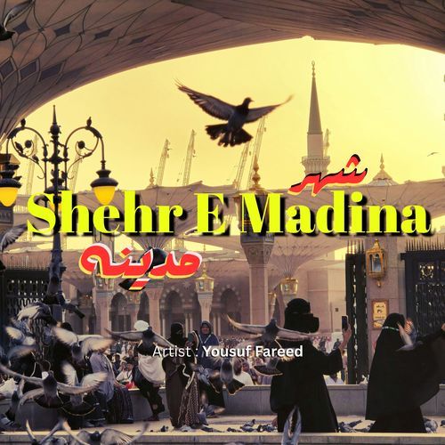 Shehr E Madina