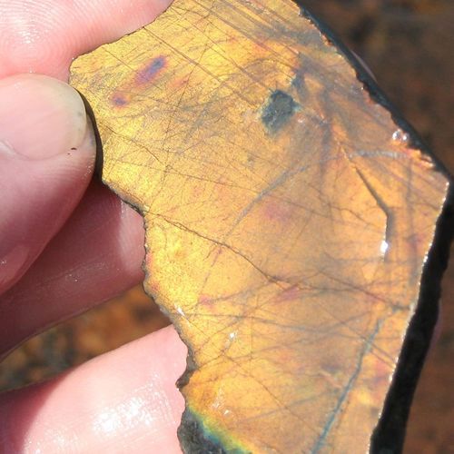 Strawberries And Advocaat