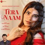 Tera Naam artwork