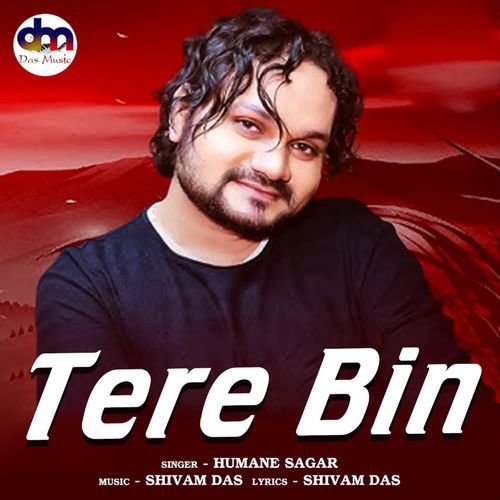 Tere Bin