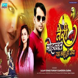 Teri Mohabbat Ka Nasa Ho Gya