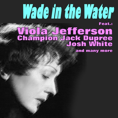 tracy k smith wade in the water tracy k smith wade in the water