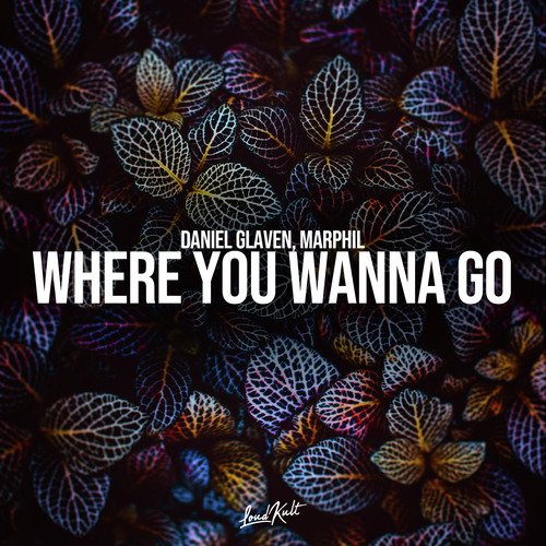 Where You Wanna Go