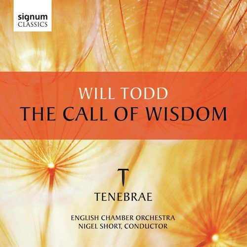 The Call of Wisdom