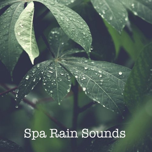 15 Spa Rain Tracks. Sleep, Meditate, Study or Relax