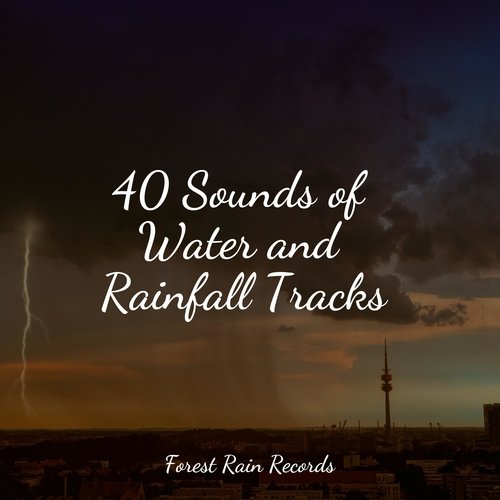 Rain, Storm and Thunder cover art