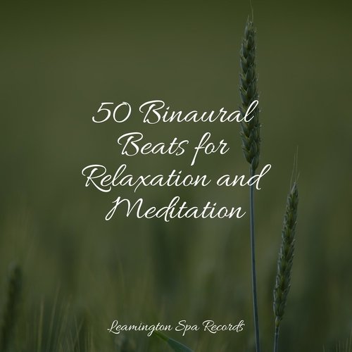 50 Binaural Beats for Relaxation and Meditation