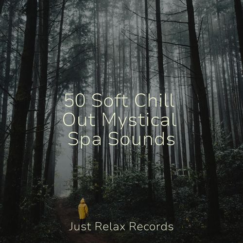 50 Soft Chill Out Mystical Spa Sounds