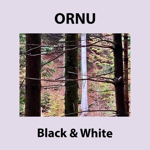 Branco cover art