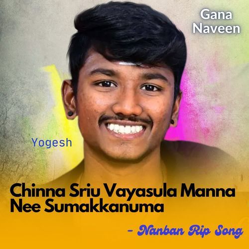 Chinna Sriu Vayasula Manna Nee Sumakkanuma - Nanban Rip Song