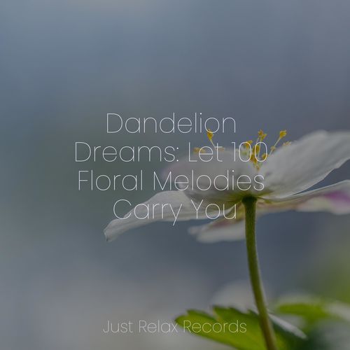 Dandelion Dreams: Let 100 Floral Melodies Carry You