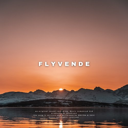 Flyvende_poster_image