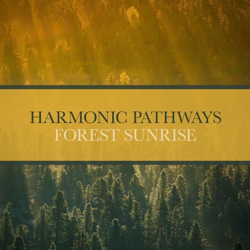 Forest Sunrise (Solo Version)