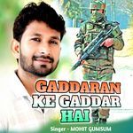 GADDARO KE GADDAR HAI