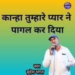 Kanha Tumhare Pyar Ne Pagal Kar Diya