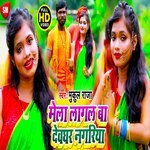 Mela Lagal ba Devghar Nagariya