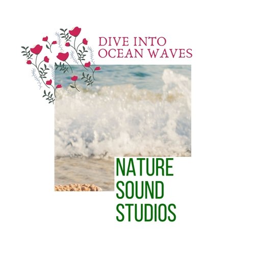 Birds at Oceanic Heaven cover art