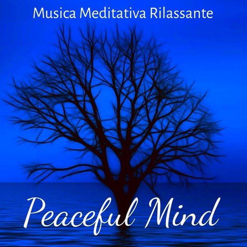 Peaceful Mind - Musica Meditativa Rilassante per Corpo Sano Potere della Mente Stare Bene Terapia Chakra con Suoni Soft New Age della Natura