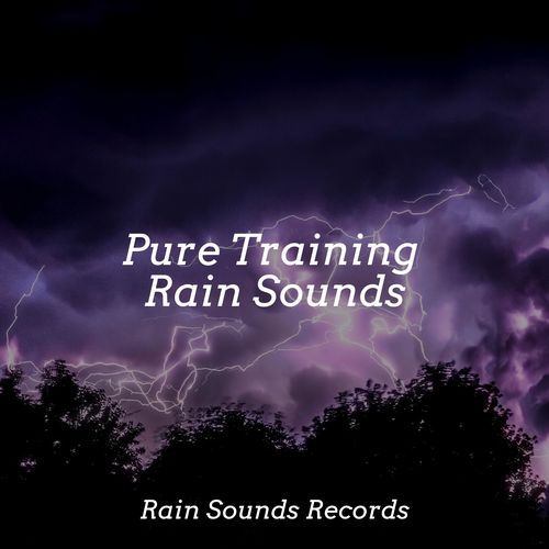 Pure Training Rain Sounds