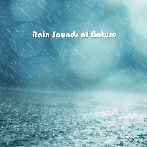 Rain Sounds of Nature_poster_image