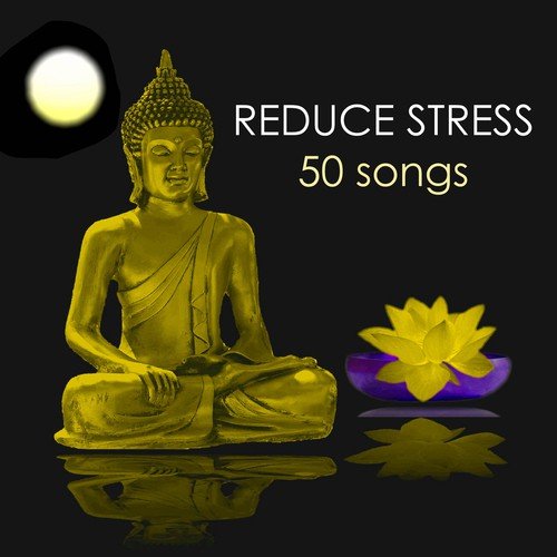 Reduce Stress & Anxiety - 50 Songs to Meditate and Find Inner Peace, Relaxing Zen Healing Meditation Sounds, Ambient Music for Yoga Class