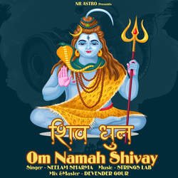 Shiv Dhun Om Namah Shivay-QyYhWx9oaGE