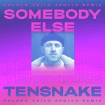 Somebody Else (Shadow Child Apollo Remix)