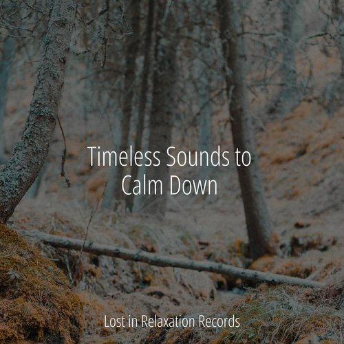 Timeless Sounds to Calm Down